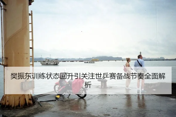 樊振东训练状态回升引关注世乒赛备战节奏全面解析